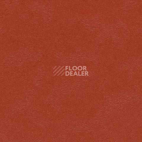Кварцвиниловые полы Forbo Marmoleum Modular t3352 Berlin red фото 1 | FLOORDEALER